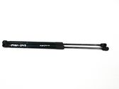 Tailgate/trunk strut/damper