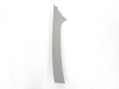(B) pillar trim (bottom)