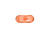 Front fender indicator light