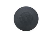 Panel speaker
