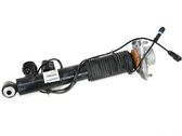 Rear shock absorber/damper