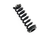 Rear coil spring