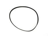 Alternator belt