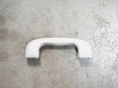 Front interior roof grab handle
