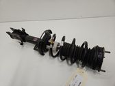 Front shock absorber/damper