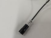 Radio antenna