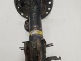 Front shock absorber/damper