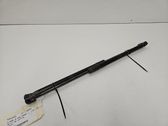 Tailgate/trunk strut/damper