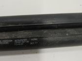Tailgate/trunk strut/damper