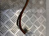Negative earth cable (battery)