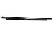 Rear door glass trim molding