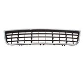 Front bumper lower grill