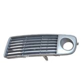 Front bumper lower grill