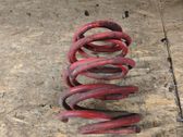 Front coil spring