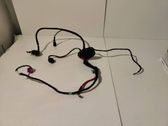 Other wiring loom