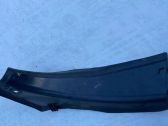 Rear/tail light trim molding