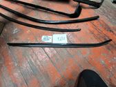 Rear door glass trim molding