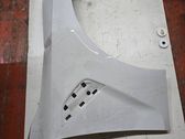 Fender