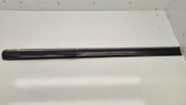 Front door trim (molding)