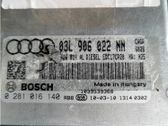 Engine control unit/module ECU