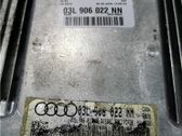 Engine control unit/module ECU