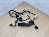 Front door wiring loom