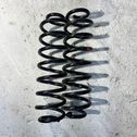 Rear coil spring