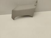 Other sill/pillar trim element