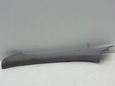 (A) pillar trim