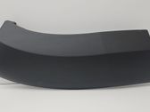 Moldura de la aleta delantera