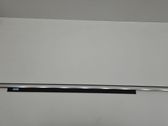 Front door glass trim molding