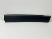 Front door trim (molding)