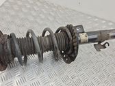 Front shock absorber with coil spring
