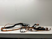 Other wiring loom