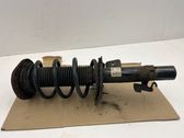 Front shock absorber with coil spring
