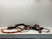 Other wiring loom