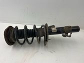 Front shock absorber with coil spring
