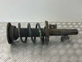 Front shock absorber with coil spring