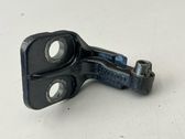 Rear door lower hinge