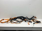 Other wiring loom