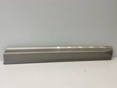 Front door trim (molding)