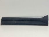 Front door trim (molding)