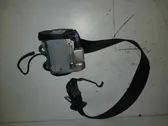 Cinturón trasero