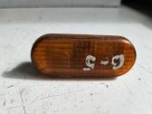 Front fender indicator light