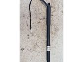 Tailgate/trunk strut/damper