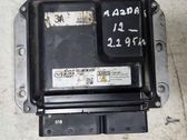 Engine control unit/module ECU