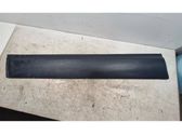 Front door trim (molding)