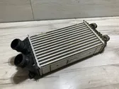 Intercooler radiator