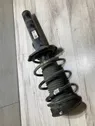 Front shock absorber with coil spring