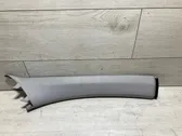 Other sill/pillar trim element